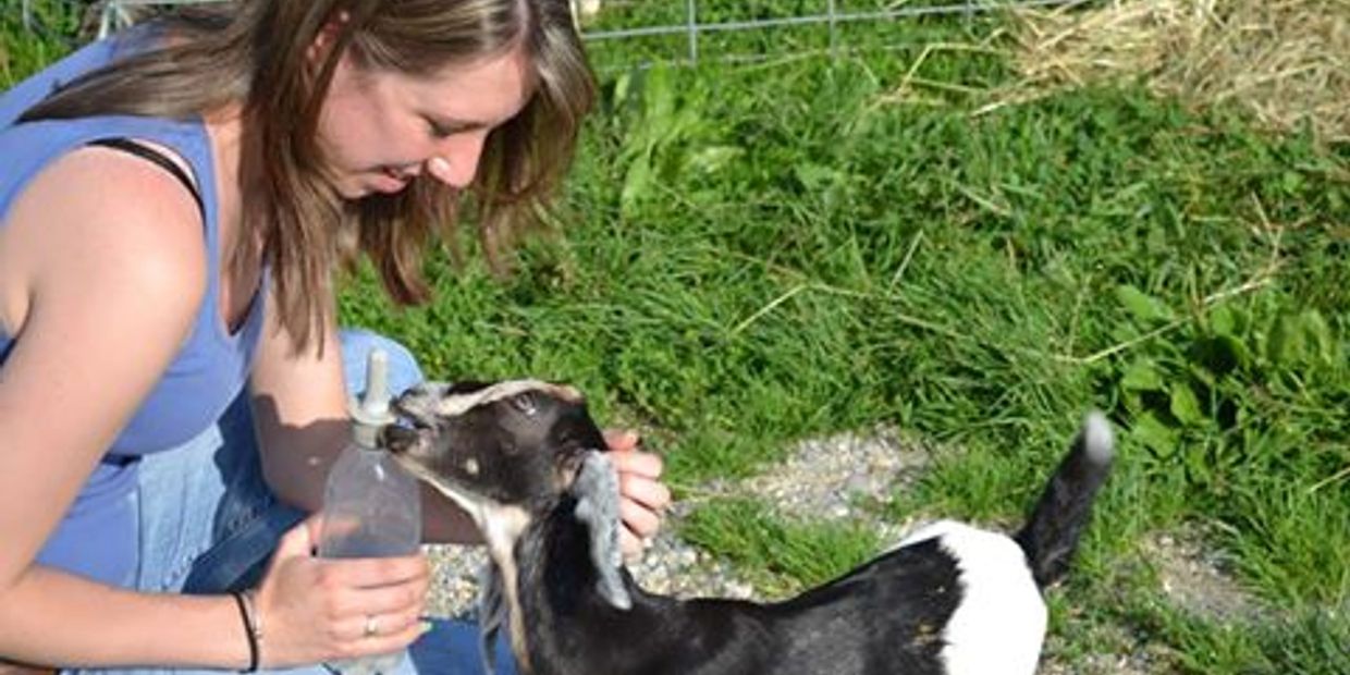 Mountain Girl Farm Inc